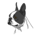 MAMBERY